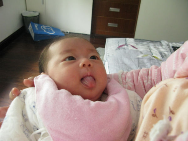 journal_insert_pic_57064654