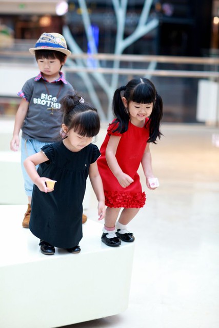 journal_insert_pic_58570576