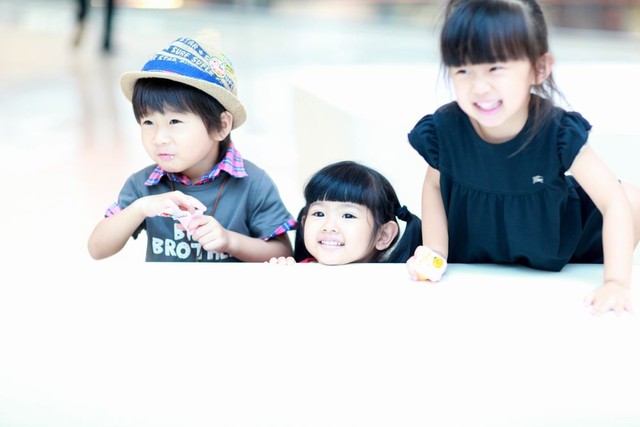 journal_insert_pic_58570527