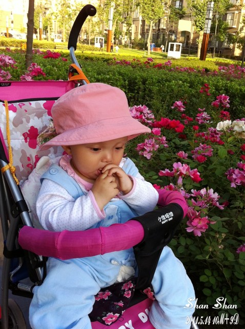 journal_insert_pic_59979675
