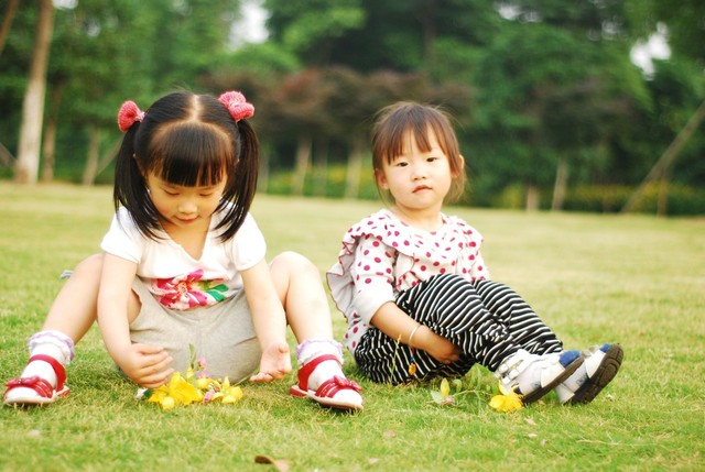 journal_insert_pic_60063272