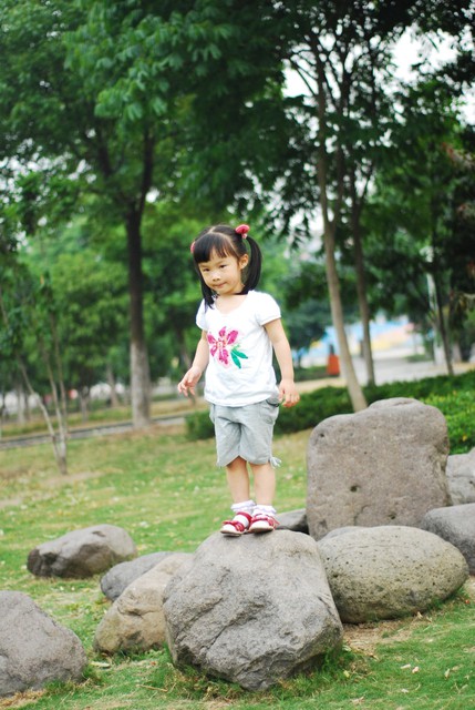 journal_insert_pic_60063405
