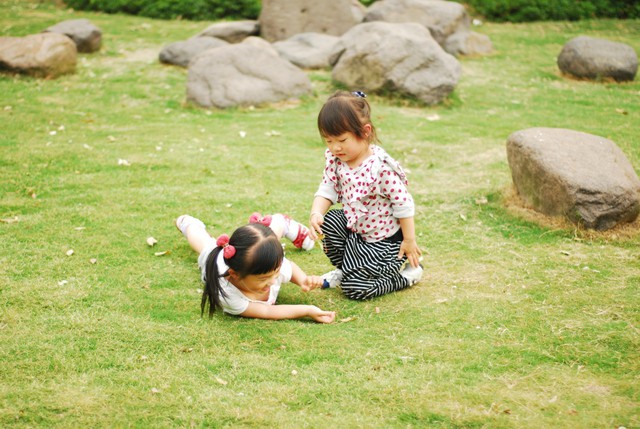 journal_insert_pic_60062910