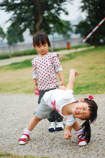 journal_insert_pic_60063624