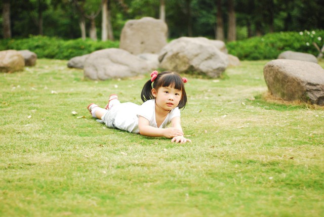 journal_insert_pic_60062905