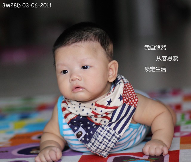 journal_insert_pic_60046275
