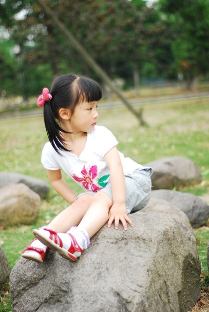 journal_insert_pic_60063421