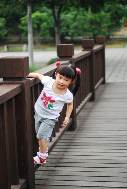 journal_insert_pic_60063579
