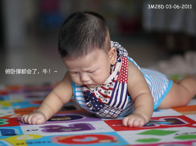 journal_insert_pic_60046276
