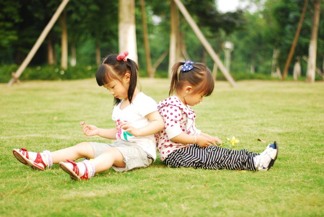 journal_insert_pic_60063147