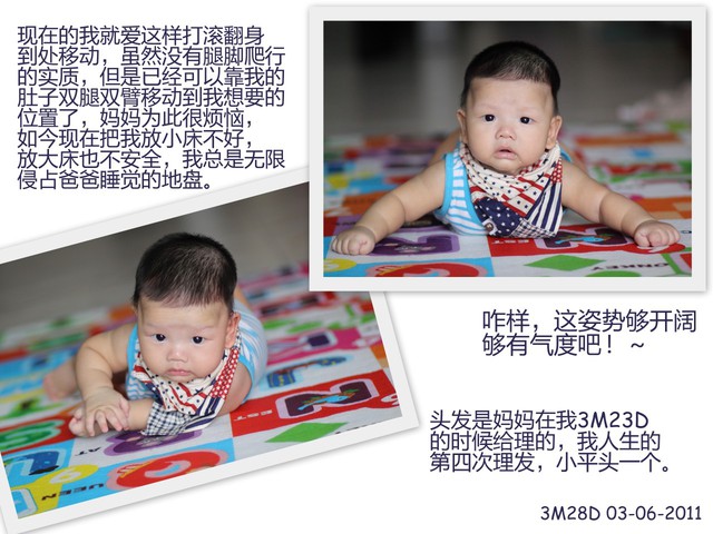 journal_insert_pic_60046295