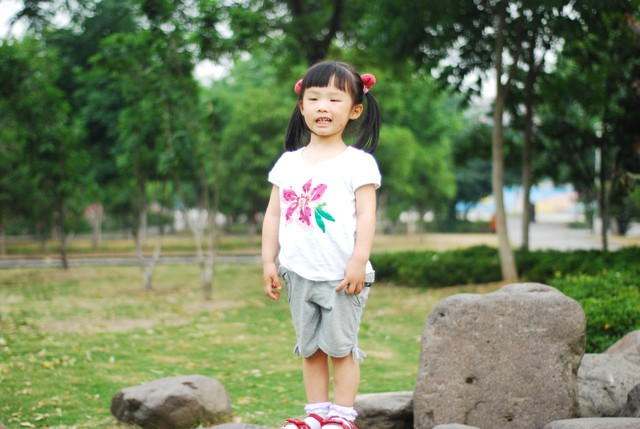 journal_insert_pic_60063384