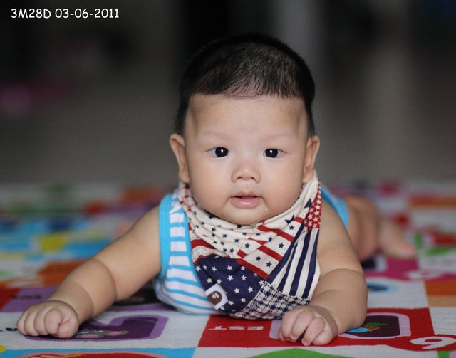 journal_insert_pic_60046282