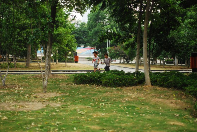 journal_insert_pic_60063080