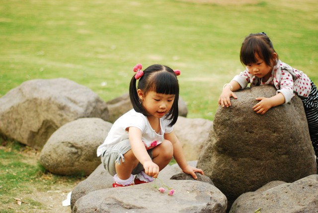 journal_insert_pic_60062963