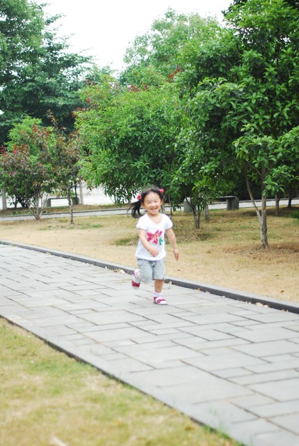 journal_insert_pic_60063462