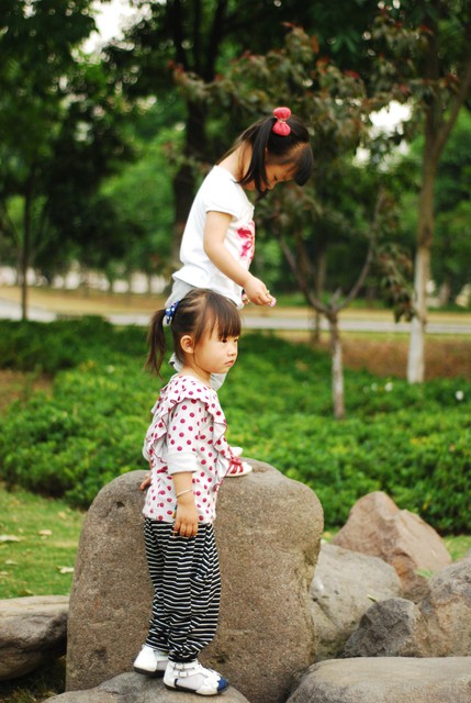 journal_insert_pic_60062999