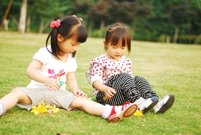 journal_insert_pic_60063278