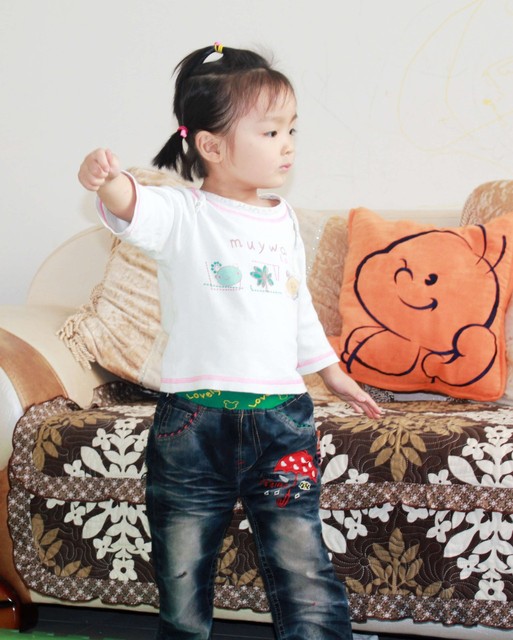 journal_insert_pic_60127162