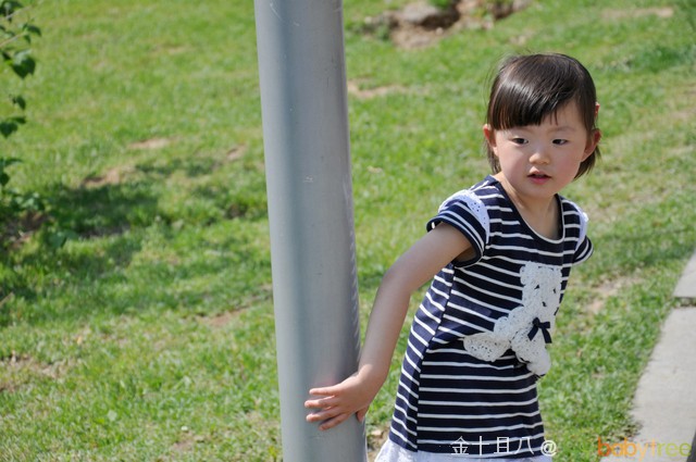 journal_insert_pic_60139404