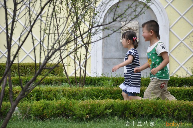 journal_insert_pic_60139185