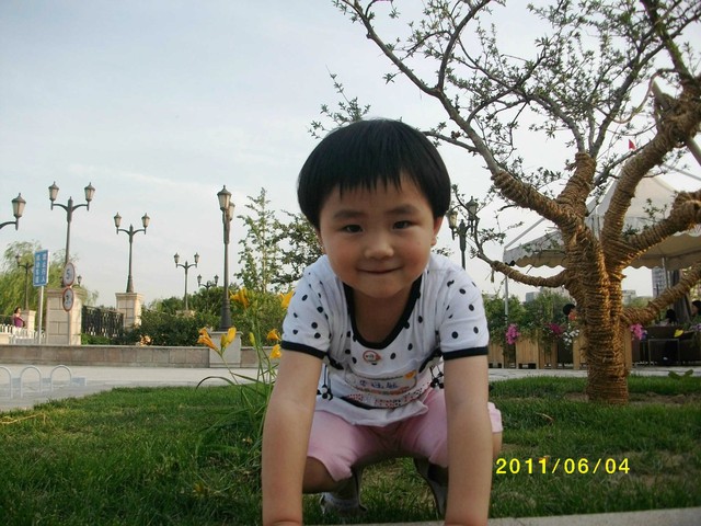 journal_insert_pic_60352643