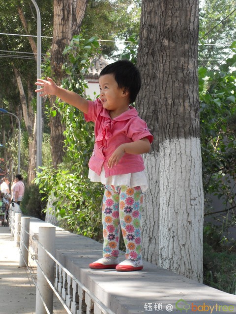 journal_insert_pic_60690354