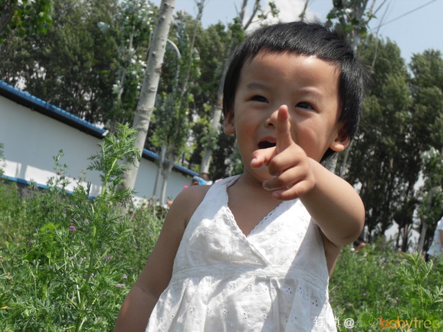 journal_insert_pic_60691048