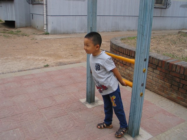 journal_insert_pic_61526367