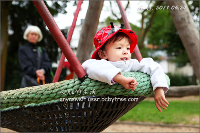 journal_insert_pic_61617128