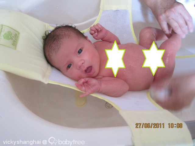 journal_insert_pic_61867409
