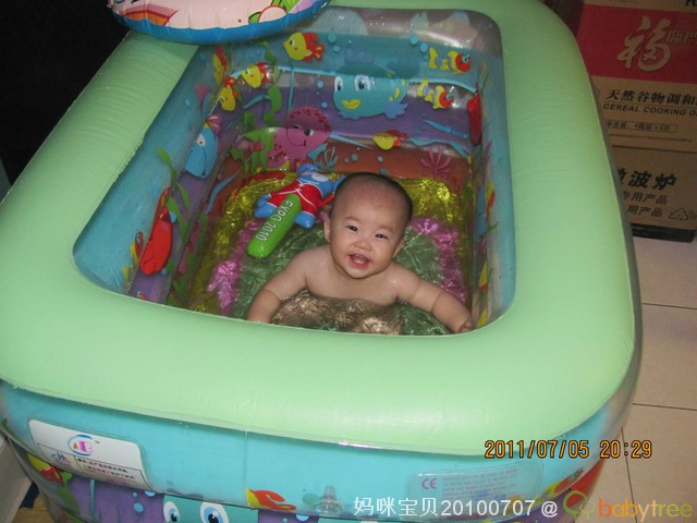 journal_insert_pic_62081305