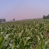 20110708(015).jpg
