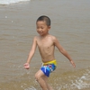 海