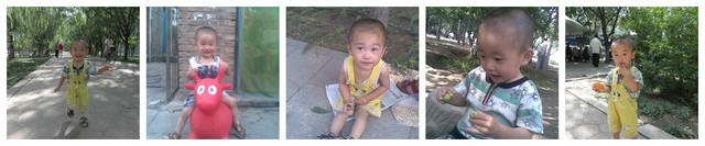 journal_insert_pic_63731760