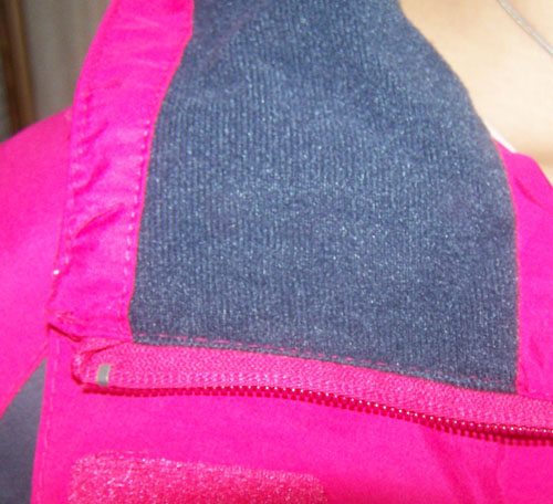 journal_insert_pic_65001861