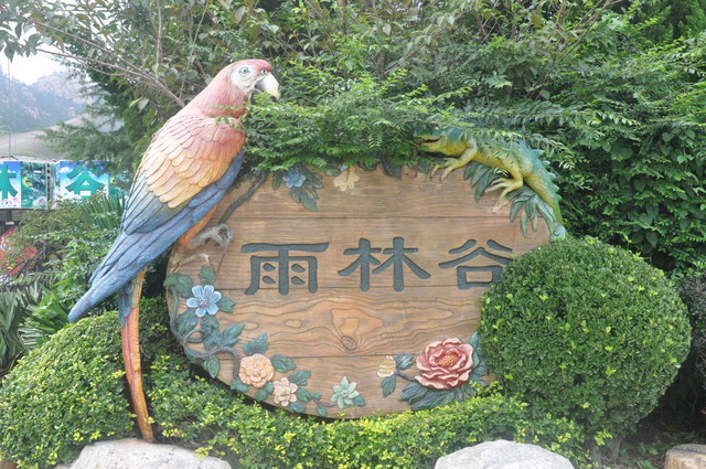 树下 同城 青岛妈妈圈 美丽好玩的雨林谷,好多片片!