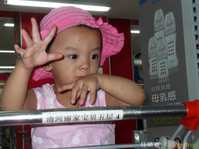 journal_insert_pic_66281812