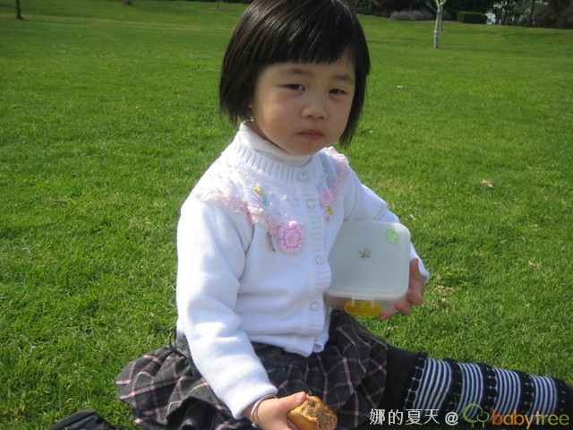 journal_insert_pic_67072616