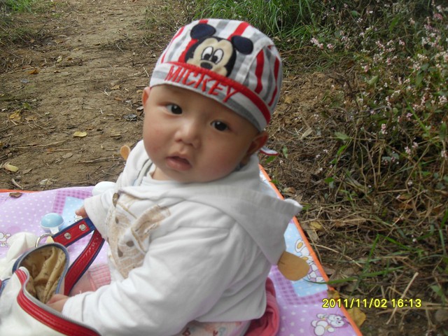 journal_insert_pic_71297439