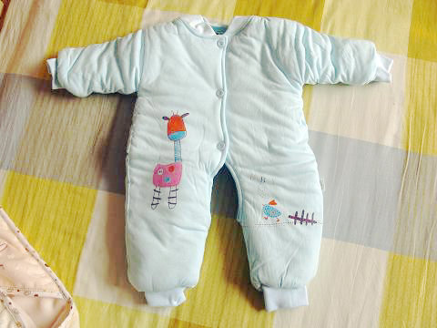 journal_insert_pic_71399056
