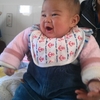 IMG_20111128_163228.jpg