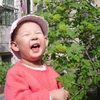 SDC10467.JPG