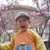 SDC10436.JPG