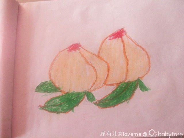 journal_insert_pic_73567377