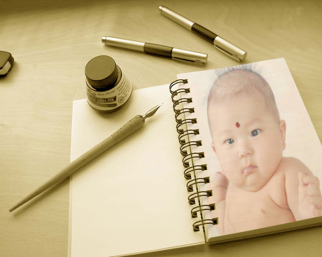 journal_insert_pic_74236249