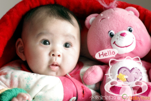 journal_insert_pic_74885555