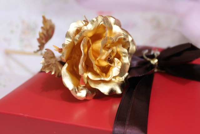 journal_insert_pic_74897298