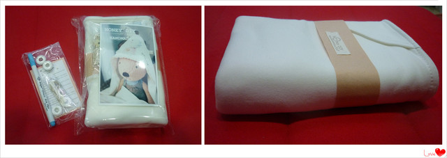 journal_insert_pic_75170866