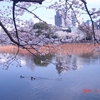 ATAIUKQCA7MTXSGCA6H1NF8CAN7D7Q
